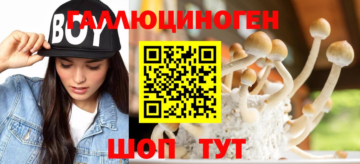 Псилоцибиновые грибы мицелий  Вход с VPN  Нефтекумск 