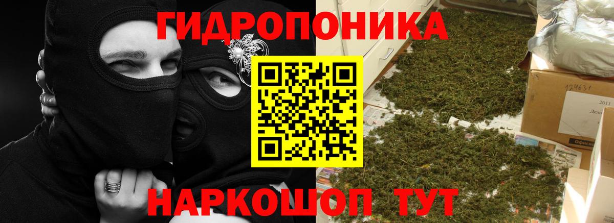 Бошки Шишки White Widow  Шишки марихуана SATIVA & INDICA  Нефтекумск  Вход с VPN 